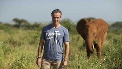 Engagiertes TV-Projekt: Schauspieler Hannes Jaenicke setzt sich für Elefanten ein