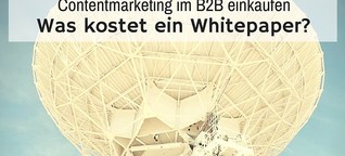 Content-Marketing im B2B einkaufen: was kostet ein Whitepaper?