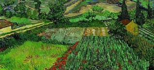 Vincent van Gogh - Spät berufen, früh vollendet