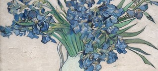 Van Gogh's flowers bloom again at the Met