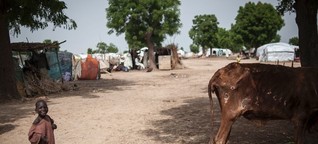 Wie Boko Haram vom Klimawandel profitiert
