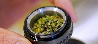 ZDF - Zoom „Wir sind Profis“
Ein Cannabis-Dealer erzählt