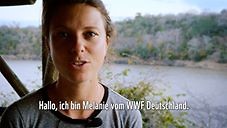 WWF Deutschland - Timeline | Facebook