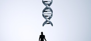 Beschleunigte Vererbung mit Gene Drive: Unkontrollierbar oder Lebensretter?