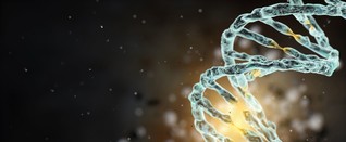 Forscher wollen künstliche DNA herstellen, Kritiker fürchten den künstlichen Menschen