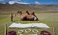 Familienreise: Als Nomaden durch die Mongolei