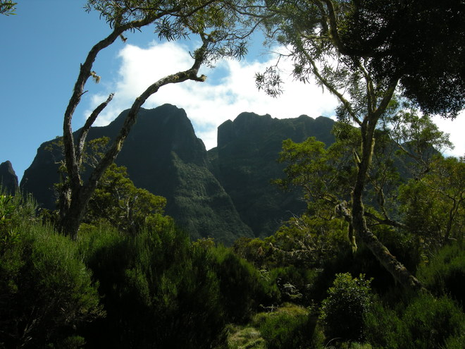 La Réunion: Ein Stück Frankreich im Indischen Ozean