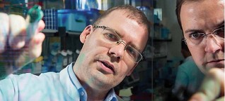 "Forschen mit Farben" - Hamburger Wissenschaftler markieren Krebs-Klone