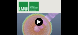 Die unsichtbare Revolution - Nanoteilchen in der Krebstherapie - LMU München