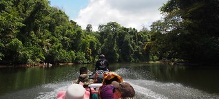 Suriname: Auf wilden Wasserwegen