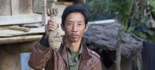 Blindgänger in Laos - Genug Bomben für 3000 Jahre