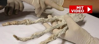 Drei Finger, 20 Zentimeter lang | Alien-Hand in Peru entdeckt?