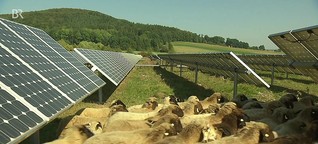 Schafe unter Solarmodulen: Doppelte Flächennutzung | BR Mediathek VIDEO