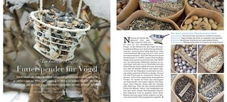 Magazin Landleben: Vögel im Winter.pdf