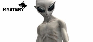 Ufo-Forscher behauptet - "Aliens stürzten 1947 wirklich in Roswell ab