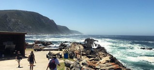 Surfurlaub in Südafrika: Warum du unbedingt nach Jeffreys Bay musst