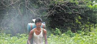 Der Kampf von Baumwollbauern ums Überleben