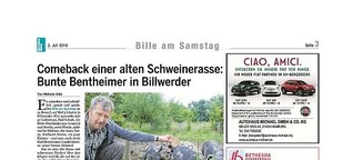 Comeback einer alten Schweinerasse: Bunte Bentheimer in Billwerder