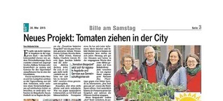 Neues Projekt: Tomaten ziehen in der City