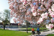 Frühlingsstrecken: Radtouren in Deutschland - welche passt für Sie? - SPIEGEL ONLINE