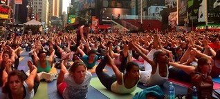 Massen-Yoga: Hunde auf dem Times Square in New York