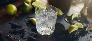Gin: Ein glasklarer Hype - Falstaff