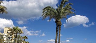 Andalusien: Die schönsten Küstenabschnitte | FORUM - Das Wochenmagazin