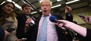 David Cameron says Boris Johnson is 'making it up' on Brexit