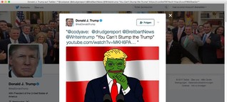 Pepe der Frosch: Lieber tot als Trump-Fan