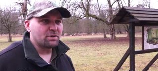 TV-Reportage: Die weißen Dammhirsche im Tiergarten Hannover