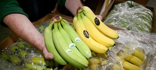 Banano para Alemania, precariedad para Ecuador