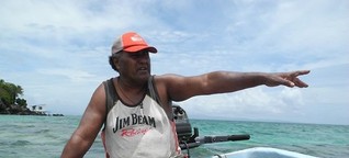Fidschi Inseln: Der erste Hai