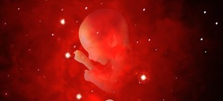 Babys aus der Retorte: Vom adoptierten Embryo zum ewigen Leben 