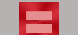 Gleichstellung: Facebook-Nutzer zeigen Flagge für Homo-Ehe
