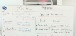 Social Media Strategies for Entrepreneurs