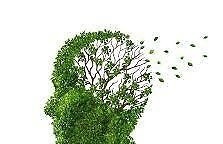 Medizin: Alzheimer - Vergessen, was ein Löffel ist