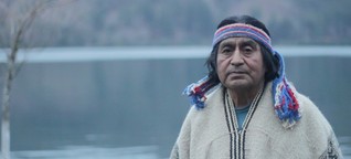 Mapuche in Chile - Kettensägen gegen Baumgeister