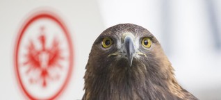 Einzelkritik: So haben sich die Adler in Leipzig geschlagen: Bild 1 von 19 | Frankfurter Neue Presse