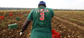 Flüchtlinge in Italiens Landwirtschaft: Refugees Welcome im Knochenjob