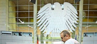 Die AfD im Bundestag: Wie legitim ist eine „Lex AfD"?
