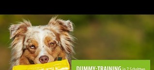 Dummytraining für Hunde: So geht's!