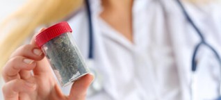 Ärzte: Gründe, Cannabis als Medizin zu verschreiben