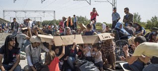 Migranten-Guide „Europa": Sind Brezeln halal?