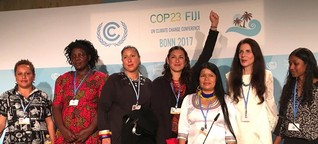 To combat climate change, increase women's participation | DW Environment | DW | 20.11.2017