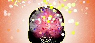 Daten aus dem Gehirn müssen geschützt werden, fordern Neurobiologen