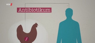 Planet Wissen: Reserveantibiotika in der Tierhaltung