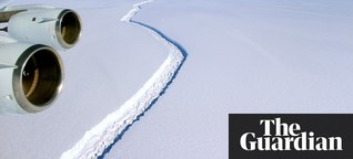 Scientists hope damage to Larsen C ice shelf will reveal ecosystems