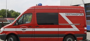 Feuerwehr Köln: Wildtier-Rettung nur im Einzelfall