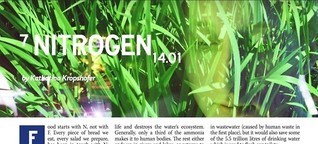 Nitrogen - explorations of modern agriculture