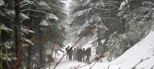 Schneeschuhtour im Schwarzwald: Ab in die Wildnis